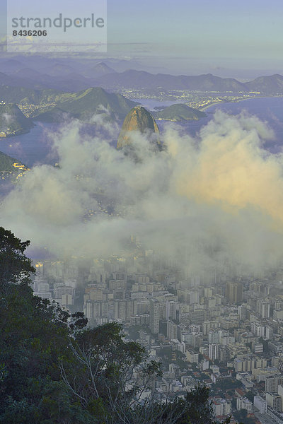 Hochformat  Reise  Großstadt  Nebel  lateinamerikanisch  Brasilien  Rio de Janeiro  Südamerika  Zuckerhut