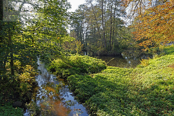 Landschaftlich schön  landschaftlich reizvoll  Sehenswürdigkeit  Wasser  Europa  Technologie  Baum  Landschaft  See  Pflanze  fließen  Fluss  Deutschland  Laderholz  Niedersachsen  Stimmung