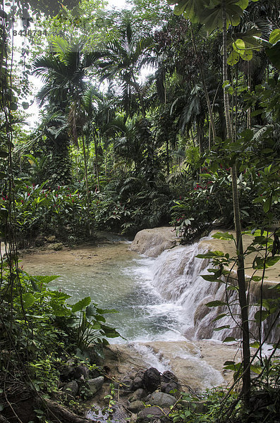 Natur  Wasserfall  Jamaika  Ocho Rios