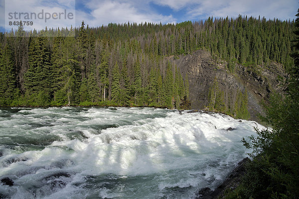 State Park  Provincial Park  Wald  Fluss  Wasserfall  British Columbia  Kanada