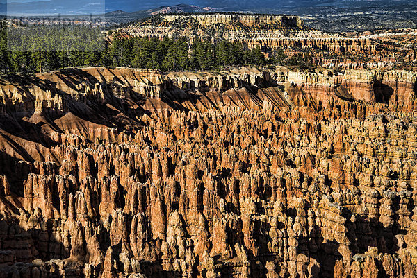 Vereinigte Staaten von Amerika  USA  Felsbrocken  Amerika  Landschaft  Natur  Sehenswürdigkeit  Bryce Canyon Nationalpark  Utah