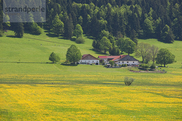 Europa Landwirtschaft Bauernhof Hof Höfe wandern Wiese Schweiz