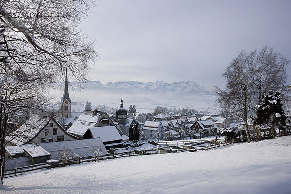 Europa Winter Landwirtschaft Dorf Schnee Schweiz