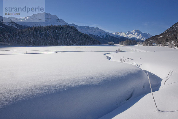 Landschaftlich schön landschaftlich reizvoll Europa Winter Landschaft See Kanton Graubünden Engadin Schnee Schweiz