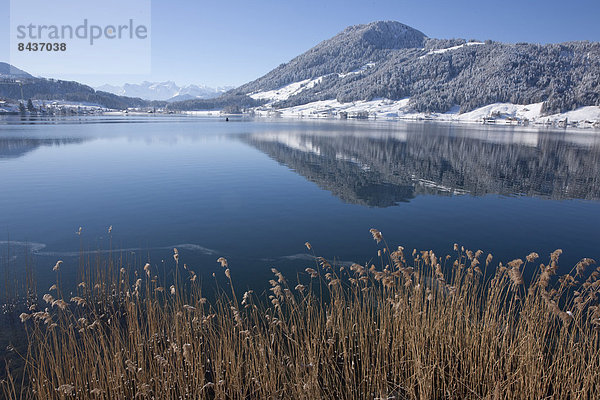 Europa Winter See Schweiz Zentralschweiz