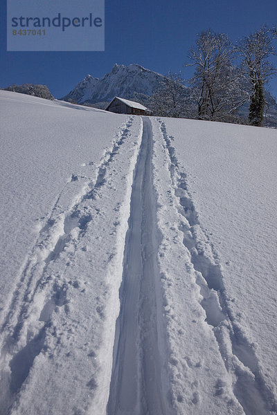 Europa Berg Winter Mythologie Spur Schnee Schweiz Zentralschweiz