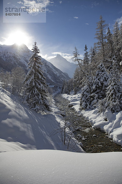 Landschaftlich schön landschaftlich reizvoll Wasser Europa Winter Baum Landschaft fließen Fluss Bach Schnee Sonne Schweiz Gewässer