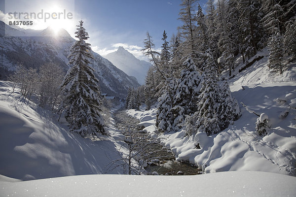 Landschaftlich schön landschaftlich reizvoll Wasser Europa Winter Baum Landschaft fließen Fluss Bach Schnee Sonne Schweiz Gewässer