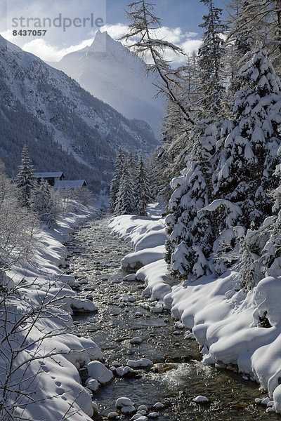 Landschaftlich schön landschaftlich reizvoll Wasser Europa Winter Baum Landschaft fließen Fluss Bach Schnee Schweiz Gewässer