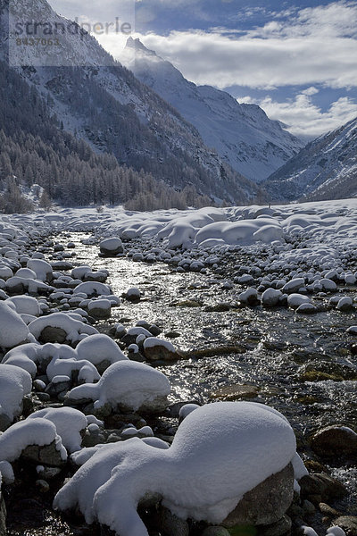 Landschaftlich schön landschaftlich reizvoll Wasser Europa Winter Baum Landschaft fließen Fluss Bach Schnee Schweiz Gewässer
