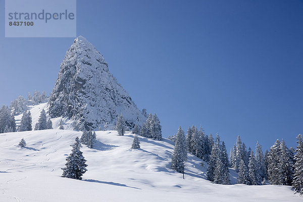 Europa Berg Winter Schnee Schweiz