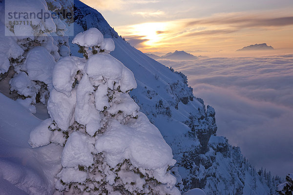 Europa Winter Sonnenuntergang Nebel Schnee Sonne Schweiz Nebelmeer Zentralschweiz