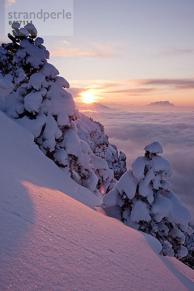 Europa Winter Sonnenuntergang Nebel Schnee Sonne Schweiz Nebelmeer Zentralschweiz