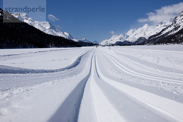 Europa Frau Winter Mann Skisport Spur 2 Kanton Graubünden Skilanglauf Engadin Schweiz Wintersport