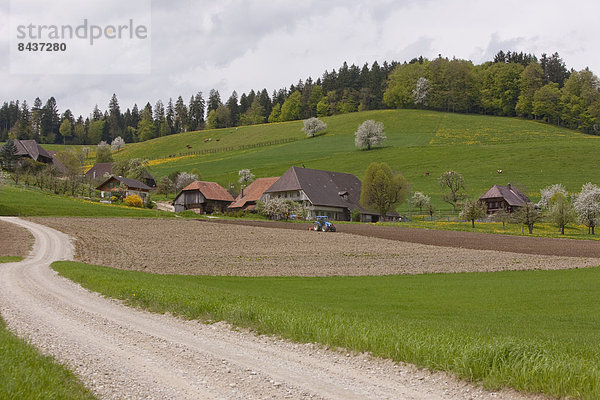 Europa Landwirtschaft Dorf Emmentaler Bern Weiler Schweiz