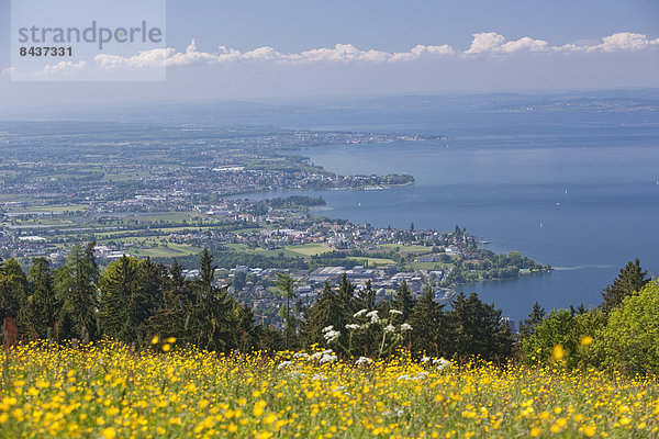 Panorama Landschaftlich schön landschaftlich reizvoll Europa Landschaft See Dorf Ansicht sehen Larve Schweiz
