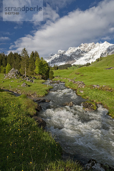 Landschaftlich schön landschaftlich reizvoll Wasser Europa Berg Blume Landschaft fließen Fluss Bach Alpen Schweiz Gewässer