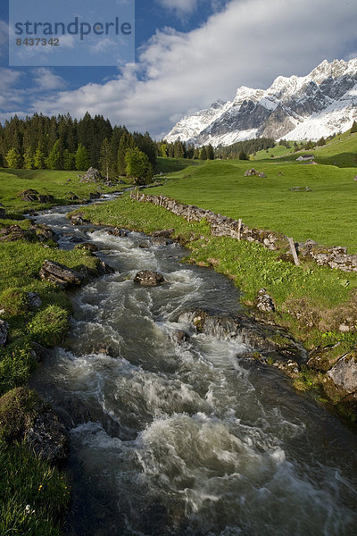 Landschaftlich schön landschaftlich reizvoll Wasser Europa Berg Blume Landschaft fließen Fluss Bach Alpen Schweiz Gewässer