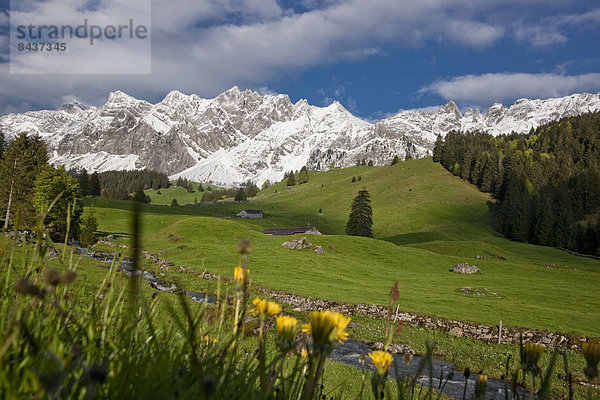 Wasser Europa Berg Landwirtschaft Alpen Schweiz