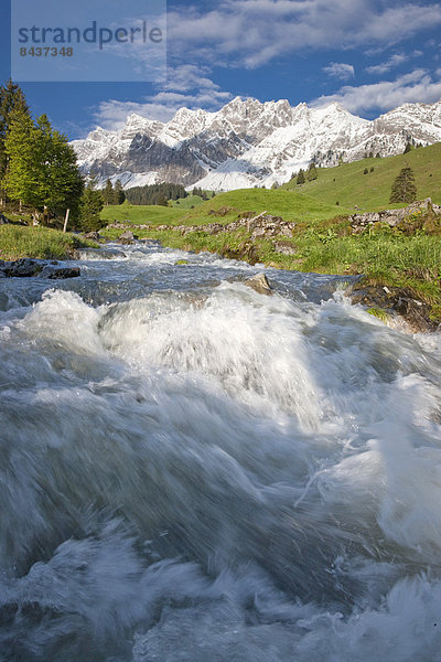 Landschaftlich schön landschaftlich reizvoll Wasser Europa Berg Frische Blume Landschaft fließen Fluss Bach Alpen Schweiz Gewässer