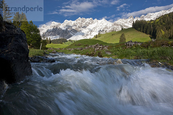 Landschaftlich schön landschaftlich reizvoll Wasser Europa Berg Frische Blume Landschaft fließen Fluss Bach Alpen Schweiz Gewässer