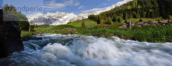 Panorama Landschaftlich schön landschaftlich reizvoll Wasser Europa Berg Frische Blume Landschaft fließen Fluss Bach Alpen Schweiz Gewässer