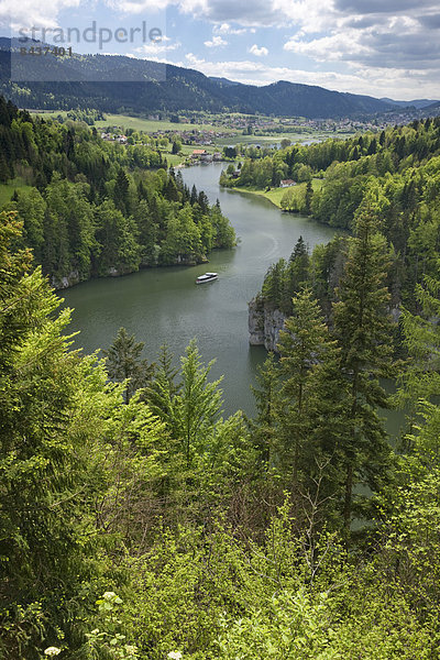 Wasser Europa Wald Boot fließen Fluss Bach Schiff Holz Schweiz Gewässer