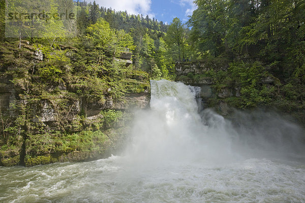 Wasser Europa Wald fließen Fluss Bach Holz Wasserfall Schweiz Gewässer
