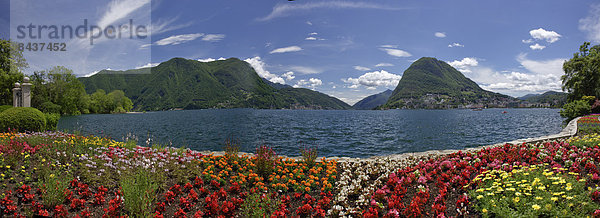 Blumenbeet Panorama Europa Blume gehen See Lugano Schweiz Südschweiz Luganersee