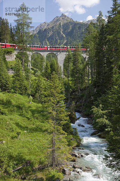 Europa Berg Brücke Zug Kanton Graubünden Schweiz