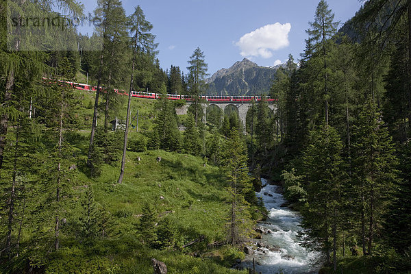 Europa Berg Brücke Zug Kanton Graubünden Schweiz