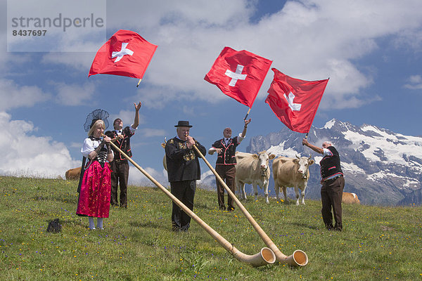 Hausrind Hausrinder Kuh Schweizer Flagge Schweizer Flaggen Fest festlich Tradition Fahne Berner Alpen Folklore schweizerisch