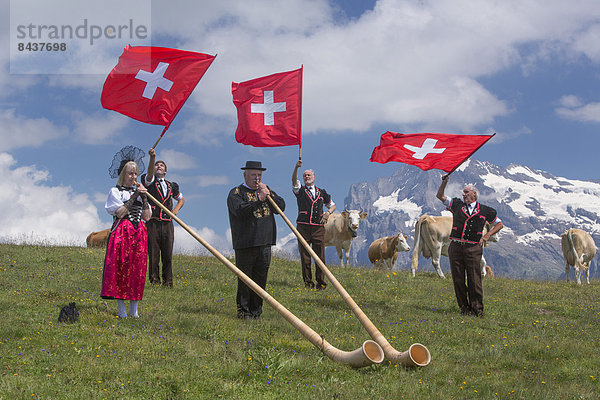 Hausrind Hausrinder Kuh Schweizer Flagge Schweizer Flaggen Fest festlich Tradition Fahne Berner Alpen Folklore schweizerisch