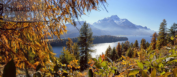 Panorama Europa Berg Spiegelung See Herbst Kanton Graubünden Engadin Schweiz