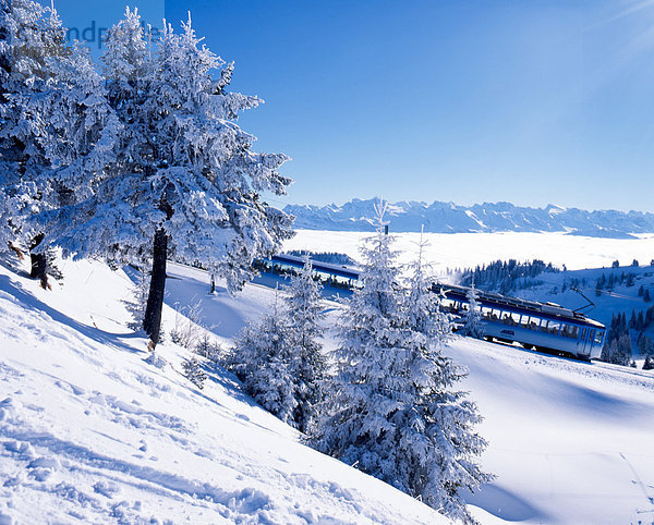 Europa Berg Winter Baum Alpen Schnee Schweiz