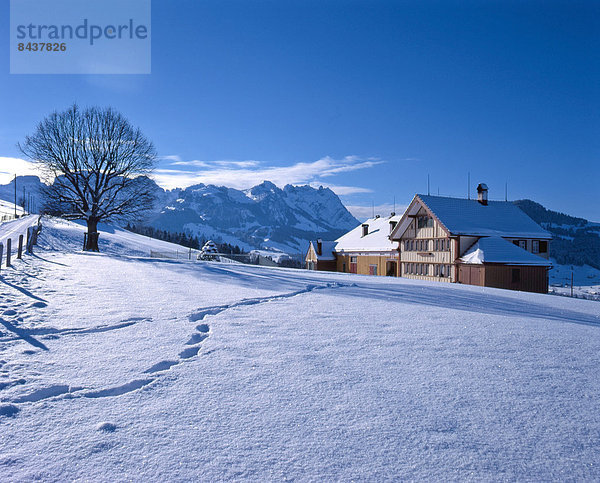 Europa Berg Winter Landwirtschaft Bauernhof Hof Höfe Schnee Schweiz