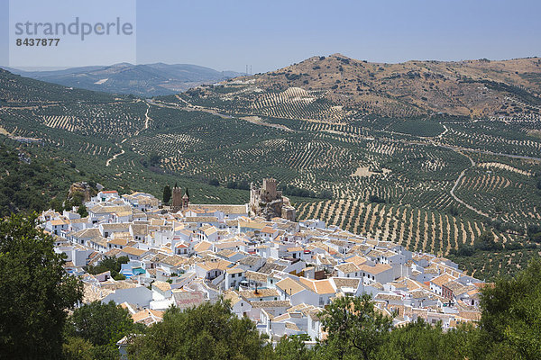 Palast  Schloß  Schlösser  Landwirtschaft  Stadt  weiß  Dorf  Geographie  Andalusien  Spanien