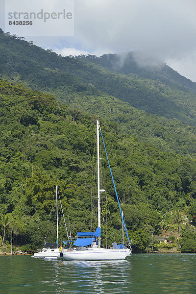 Segeln  Hochformat  Tropisch  Tropen  subtropisch  niemand  Boot  Insel  Brasilien  Südamerika
