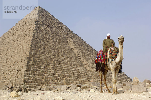 pyramidenförmig  Pyramide  Pyramiden  Kairo  Hauptstadt  Stein  Wunder  Reise  Ägypten  Sehenswürdigkeit  Naher Osten  Afrika  antik  Kamel  Gise  Pyramide