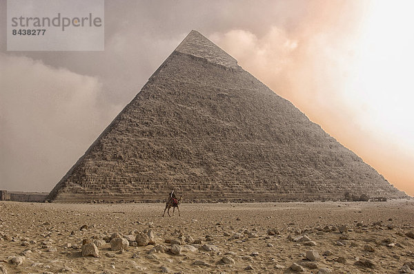 pyramidenförmig  Pyramide  Pyramiden  Kairo  Hauptstadt  Stein  Sturm  fahren  Reise  Ziel  Wüste  Sehenswürdigkeit  Naher Osten  altmodisch  Afrika  antik  Kamel  Ägypten  Gise  Pyramide
