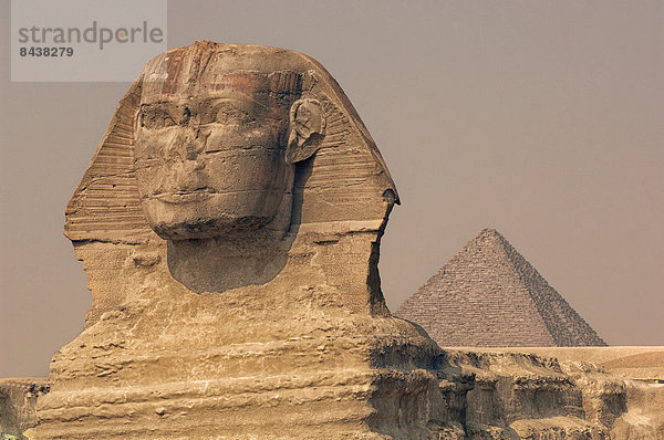 pyramidenförmig  Pyramide  Pyramiden  Kairo  Hauptstadt  Stein  Wunder  Reise  Ägypten  Sehenswürdigkeit  Naher Osten  Afrika  antik  Gise  Pyramide  Sphinx