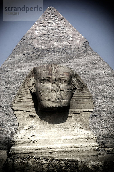 pyramidenförmig  Pyramide  Pyramiden  Kairo  Hauptstadt  Stein  Wunder  Reise  Ägypten  Sehenswürdigkeit  Naher Osten  Afrika  antik  Gise  Pyramide  Sphinx