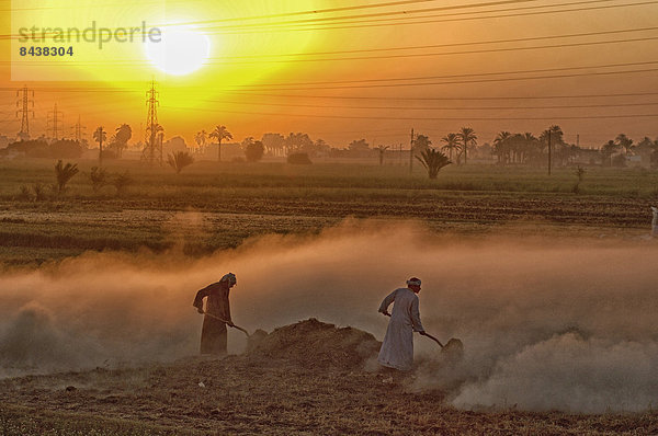 Mann  arbeiten  Sonnenaufgang  Landwirtschaft  Feld  Schaufel  Naher Osten  Afrika  Staub  Ägypten