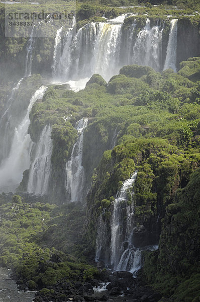 Nationalpark  Wasser  Wunder  Natur  Wasserfall  UNESCO-Welterbe  Iguacu Wasserfall  Iguacufälle  Parana  Brasilien  Südamerika