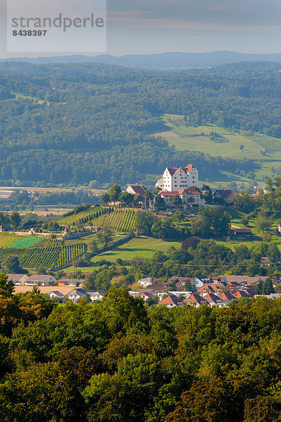 Europa Palast Schloß Schlösser Wald Holz Kanton Aargau Schweiz