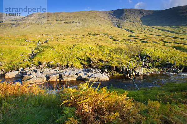 Europa  Großbritannien  Tal  Bach  Herbst  Highlands  Schottland