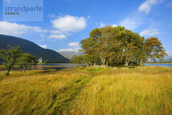 Wasser  Europa  Stein  Palast  Schloß  Schlösser  Baum  Großbritannien  See  Herbst  Wiese  Moos  Schottland  Weg