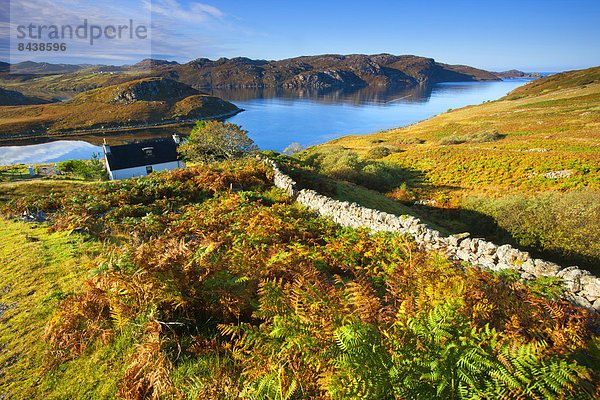 Steinmauer Europa Wohnhaus Großbritannien Küste Meer Herbst Schottland