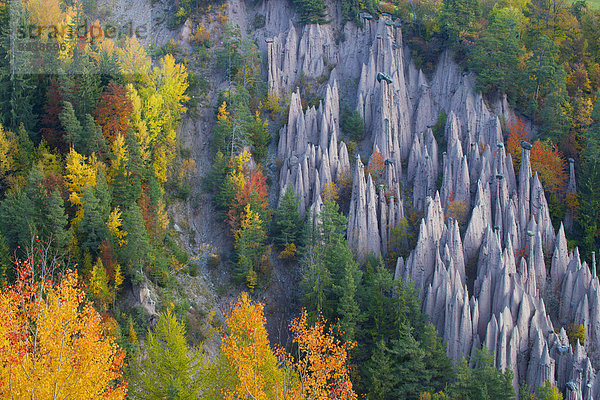 Europa Steilküste Wald Geologie Natur Holz Herbst Trentino Südtirol Erosion Italien Ritten
