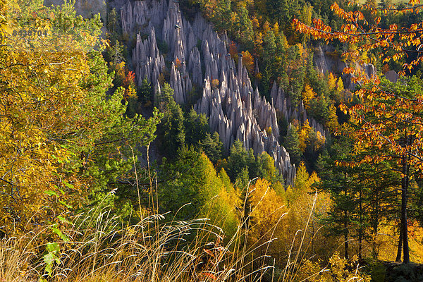 Europa Steilküste Wald Geologie Natur Holz Herbst Trentino Südtirol Erosion Italien Ritten